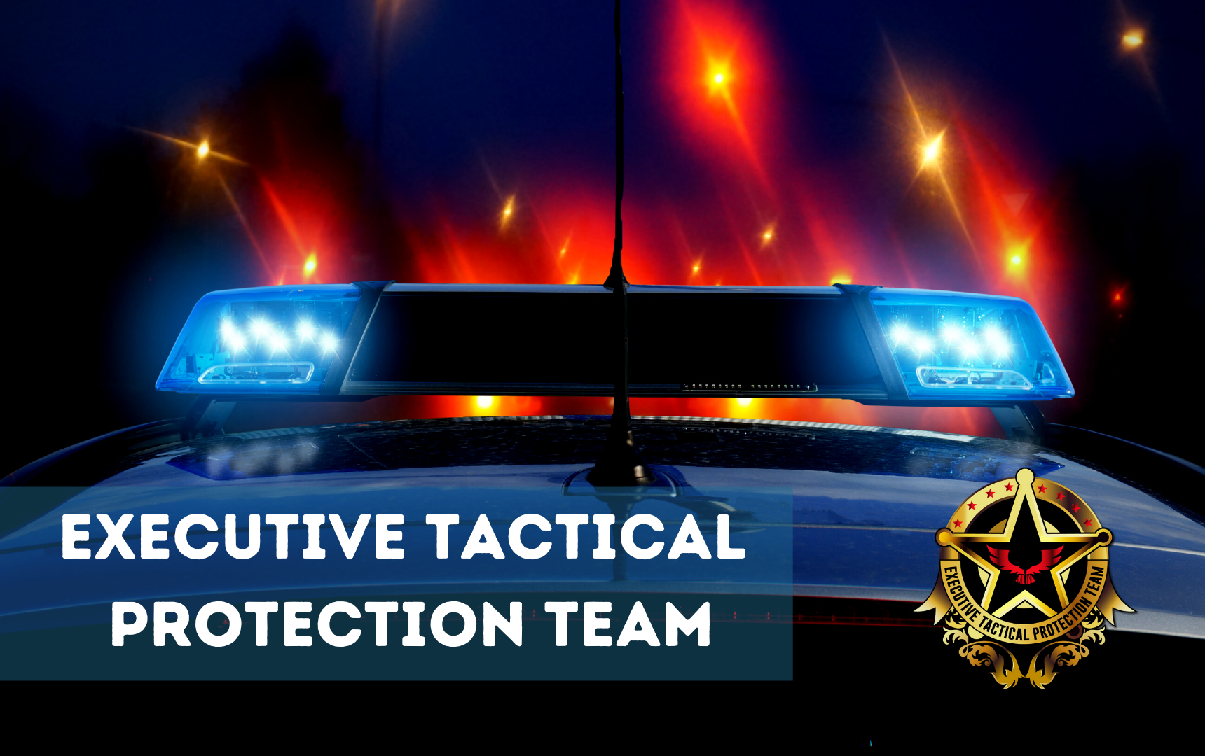 executive tactical protection team
